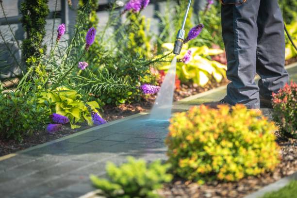 Best Pool Deck Cleaning  in Washgton, IN